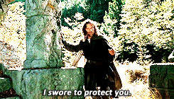 lois-lane:  Middle-earth meme ♔ [4/6] moments 