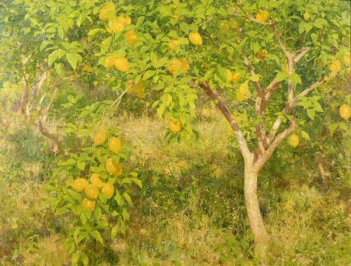 The Lemon Tree - Henry Scott Tuke 1893A Corfu Garden Study - Henry Scott Tuke ca. 1892Impressionism