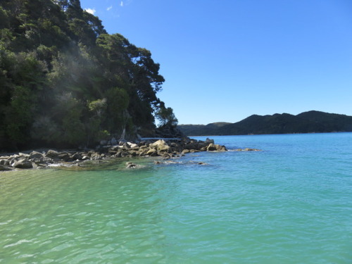 chesterlampkin: More from Abel Tasman, #NewZealand. February 2017