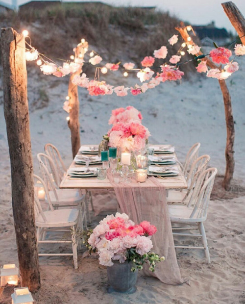 catherine-97:Dear future husband let’s get married on the beach ❤