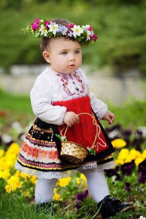 iuvencula:Little Bulgarian girl in folk clothes 