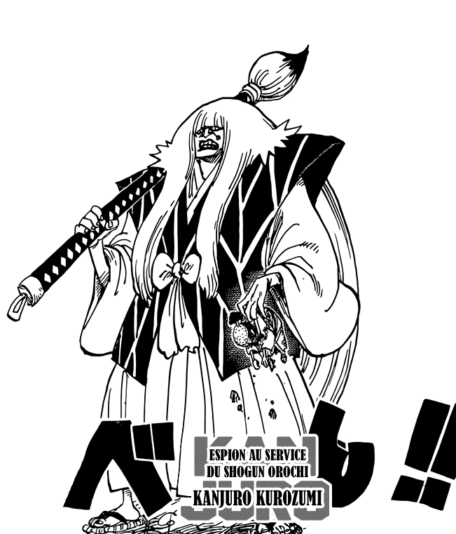It Has Been Too Long Orochi Sama One Piece 9