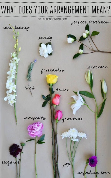 andallshallbewell: What does your flower arrangement mean?