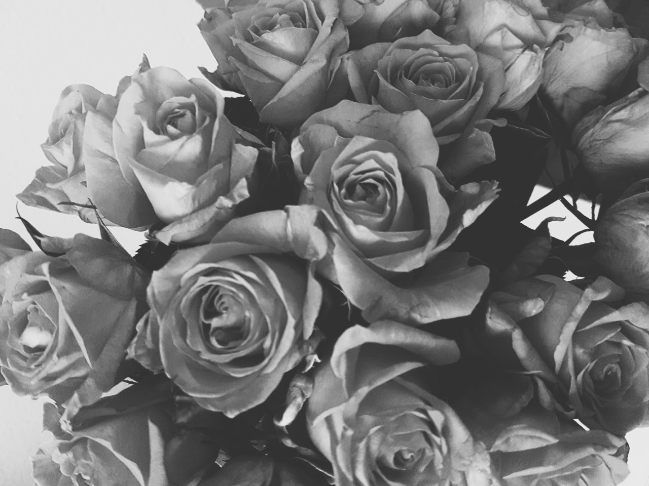 Obsession.