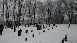 Swforester:millions Of Snowflakes,  Dancing Around The Graves  Old Burying Ground
