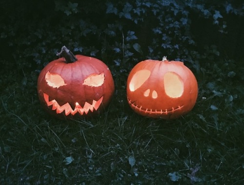 hello-flannelfox: