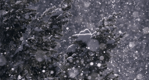 tumblr_mxc7qgNoU81r4zr2vo2_r1_500.gifv
