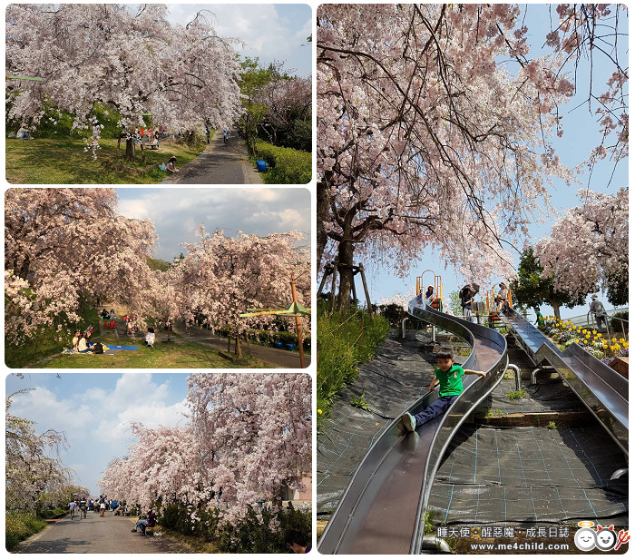 戸來貴規 Explore Tumblr Posts And Blogs Tumgir 戸來貴規 Explore Tumblr Posts And Blogs Tumgir
