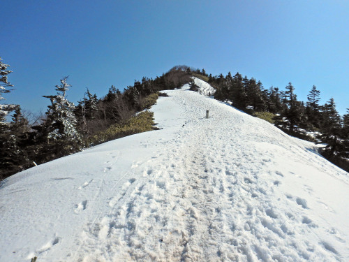 Mt. Azumayayama   四阿山の山頂部