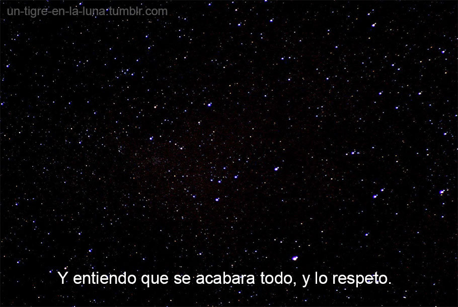 frases-sentimientos:  un-tigre-en-la-luna:  Me jode.  Me siento como si yo lo hubiese