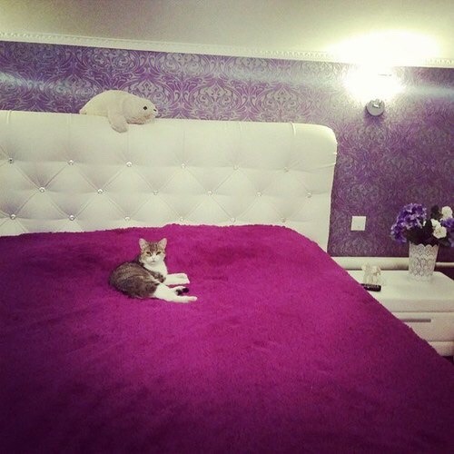 expensivetastexox:  ♡