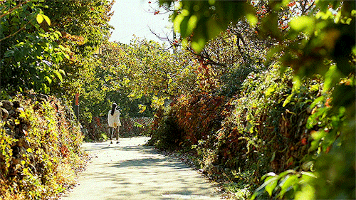 oscarspoe:LITTLE FOREST (2018) dir. Yim Soon-ryeI make sweet chestnuts even sweeter to store them, so that I won’t eat them all at once. Glazed chestnuts tasting this good means it is deep into Autumn.