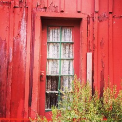 #Madcreekinn #tanoakpark #mendolife #door #country #rustic #moemeatproduction