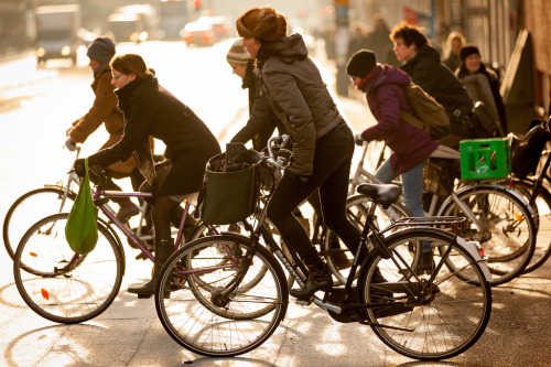 delightfulcycles: Golden early morning traffic (by Franz-Michael S. Mellbin)