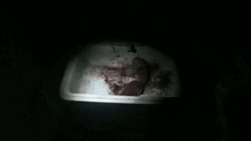 im-the-same-as-them:  SILENT HILLs