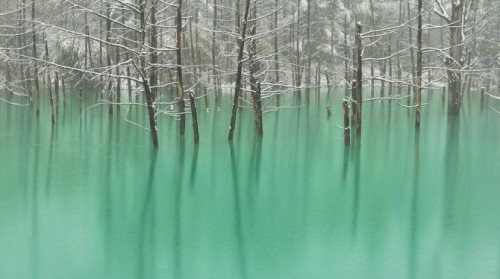 actegratuit:  The Blue Pond in Hokkaido Changes Colors Depending on the Weather “The Most Beautiful Pond In The World!” According to the photographer Ken Shiraishi, who made a pilgrimage up to Northern Japan last month to take these shots, the water