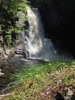 casflowers:  i miss this place