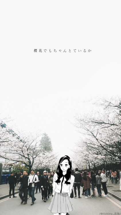 Hirunaka No Ryuusei Wallpapers x6and photographed by me(@ashleyyunqi)If you use/like these,pleas