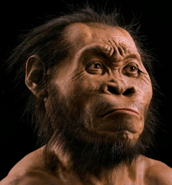 blipno:  The Homo Naledi Story Ameuter cave