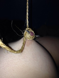 jefbdsm:  Predicament nipple bondage. Makes