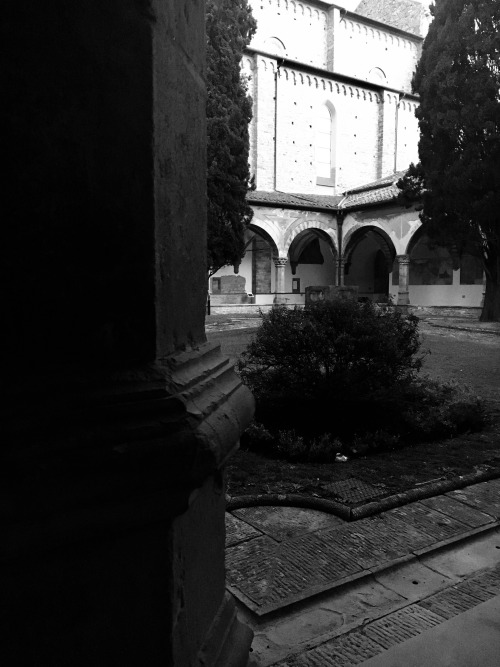 The Convent of Santa Maria Novella, Florence.