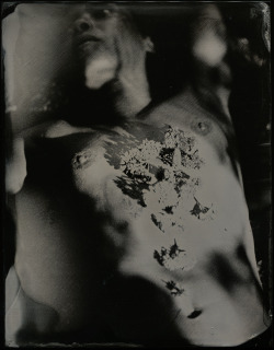 isamarcelli: © Isa Marcelli