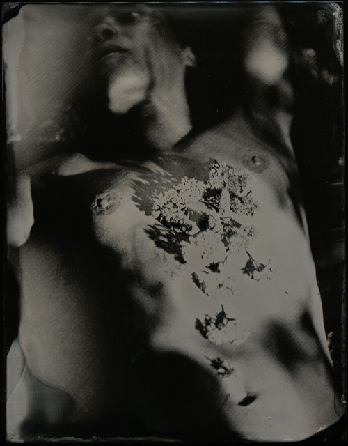 XXX isamarcelli: © Isa Marcelli photo