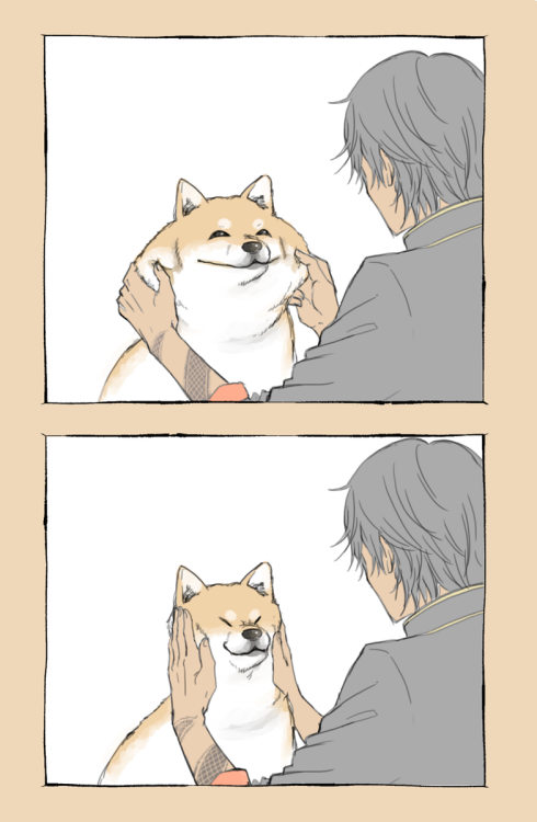 highlandvalley: がちこさんのツイート: “加羅ちゃんと油揚げ（犬） https://t.co/bYdk96Pne2”