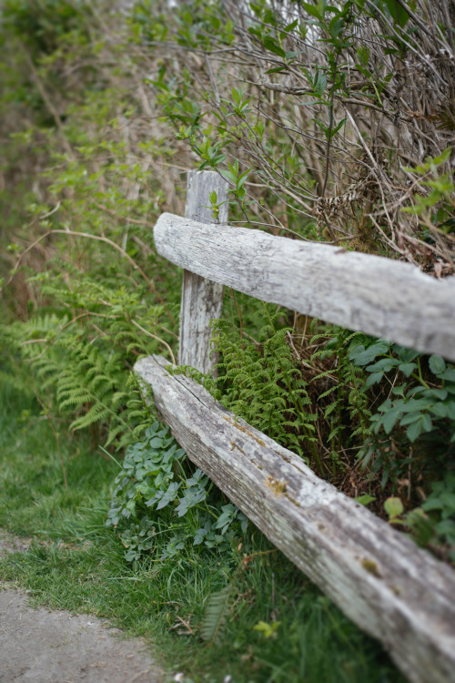 Kalaloch, WA