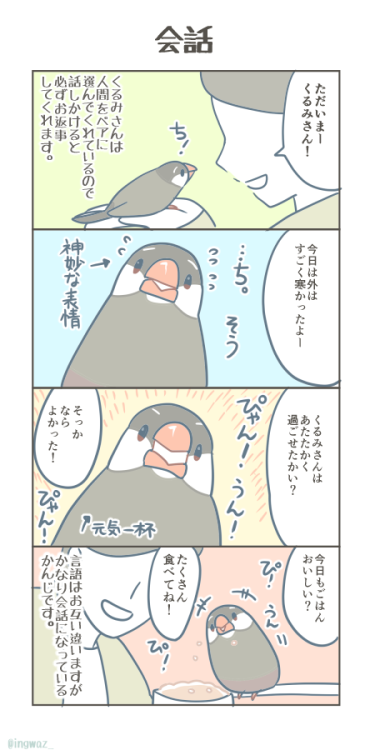 nihongo: bunchobox: 文鳥さんとの会話。言葉はお互い違いますが、意思の疎通はすごくできているように思います。 ステキな文鳥Tumblrを発見！イラスト@bunchobox