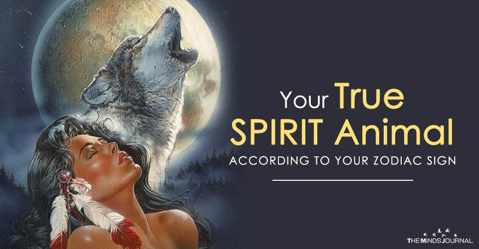 The Minds Journal — Your True SPIRIT Animal According To Your Zodiac...