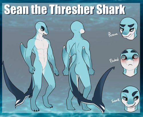 Shark Sona Just Dropped!Art By Chuette On Discord