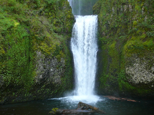 negativelyoptimistic:  People need to appreciate the true beauty of nature.