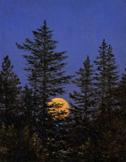 Amare-Habeo:  Carl Gustav Carus (German, 1789 - 1869) Moon Rising Behind Pines, N/D