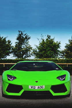 themanliness:  Green Gremlin | Source | MVMT