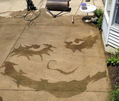 seraphica:  A growing trend in street art is ‘reverse graffiti’, creating art by removing debris and grime, rather than adding paint. Some artists will remove the grime directly for the pattern, while others will tape off some of the grime and power
