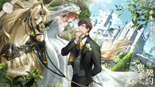 Happy 1st Anniversary Light &amp; Night! The announcement of a wedding series comes with a lot o