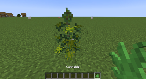 WHEN TF WAS WEED ADDED TO MINECRAFT