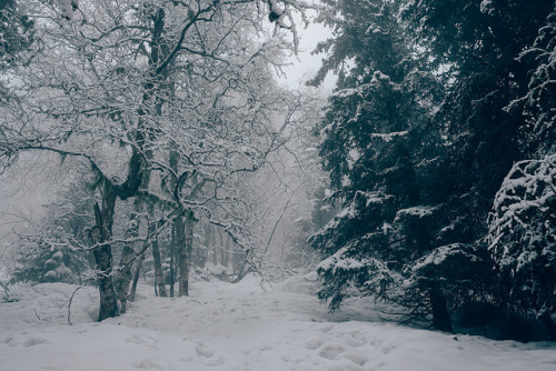 Snowbound by Atle Rønningen on Flickr.
