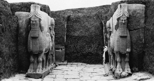 archimaps:The winged bulls gate of the Palace of Khorsabad, Iraq