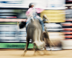 thomasprior:  Bullrider outtake for Time…more