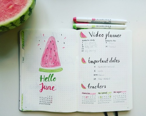 BuJo: June monthly spread This month’s theme is watermelon!YouTube