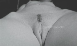ourholestory:    