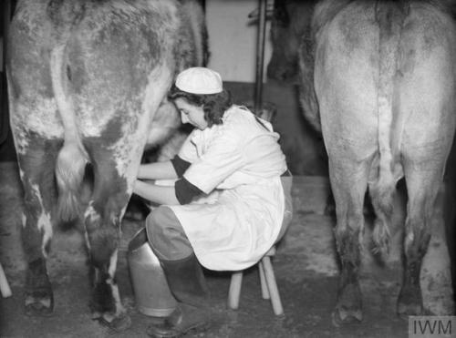 Women&rsquo;s Land Army training at the WLA training centre at Cannington Farm, Somerset (England, c