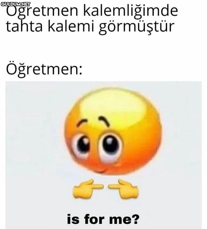 Öğretmenlerin tahta kalem...