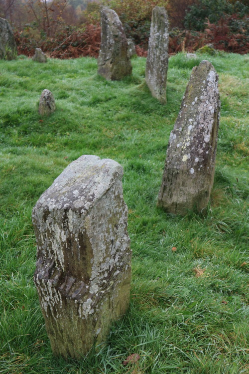 Pontypridd Rocking Stone, South Wales, 29.10.16. Only the central stone, a notable ‘glacial erratic’