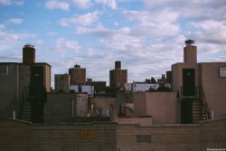 now-youre-cool:  i wish i could fly just so i could explore all the rooftops in New York