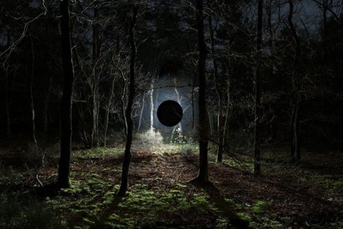 actegratuit: Marche Céleste: Alexis Pichot’s Illuminating Immersion Into the Forest of 