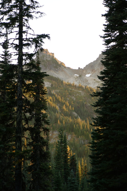 Fading light - Mt. Rainier National Park