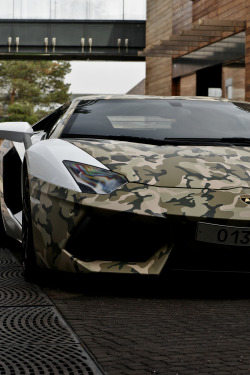  Aventador | More 